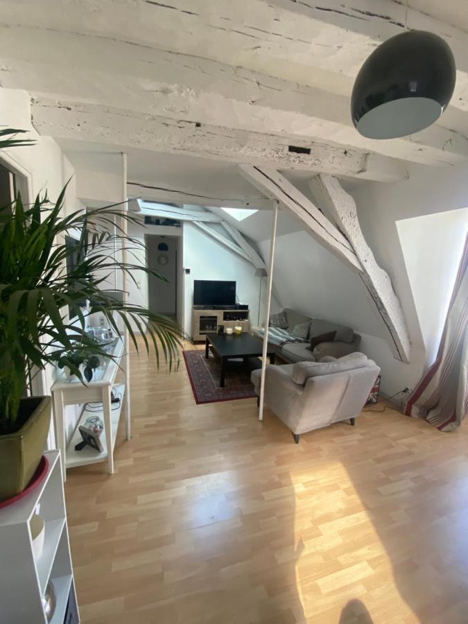 Tours Quartier Halles 70M2 外观 照片